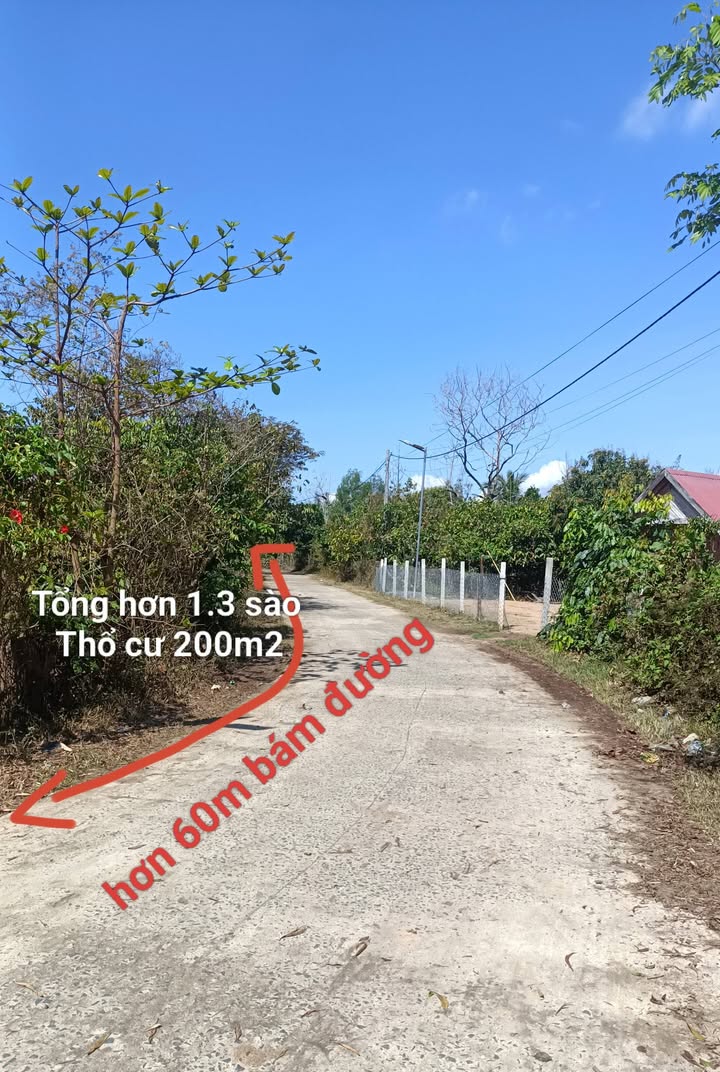 Đất nền Liên Sơn 468m² giá 600 triệu - Sổ đỏ chính chủ