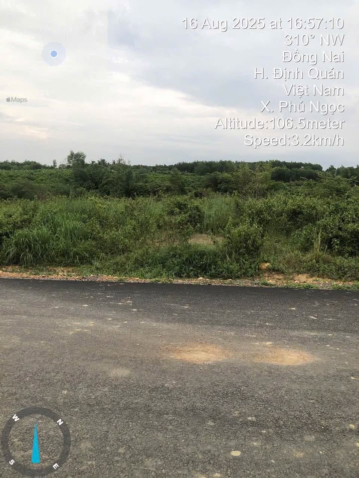 Đất nền Phú Ngọc Định Quán 175m² - Sổ đỏ chính chủ, xây dựng tự do!