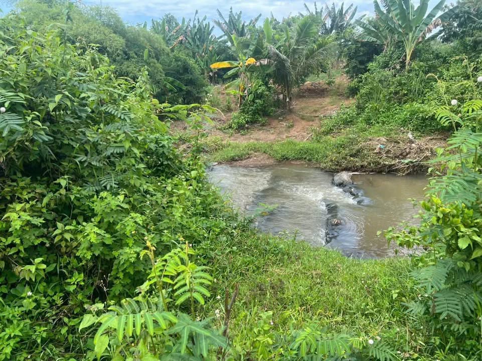 Đất vườn Phường An Hòa 900m² giá 360 triệu - View suối thơ mộng!