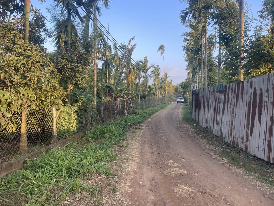 Đất nền Ea Tam 2.000m² giá 3,2 tỷ - Sổ đỏ chính chủ