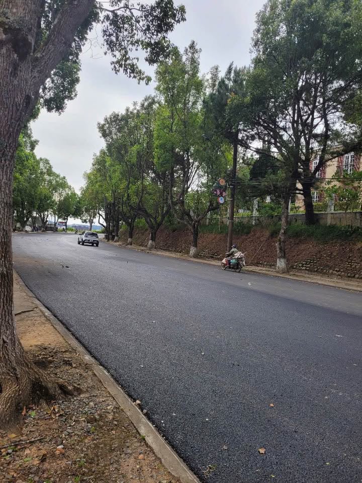 Đất biệt thự Phù Đồng Thiên Vương P8 Đà Lạt 472m² 37,8 tỷ - Đường to ô tô