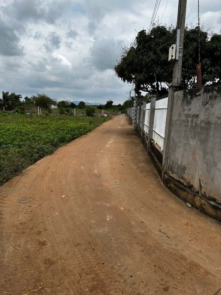 Đất nền Long Tân, Nhơn Trạch 166m² - Tiềm năng tăng giá vượt trội!