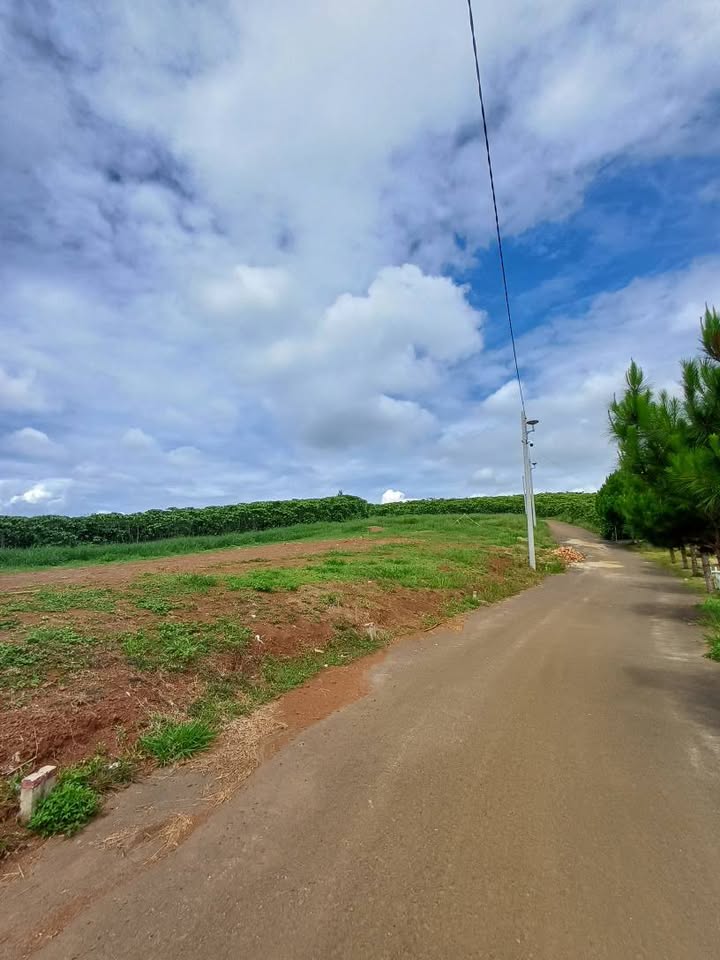 Bán Đất Lộc Quảng 160m² (106m² thổ cư) - Sổ đỏ, sát Homestay