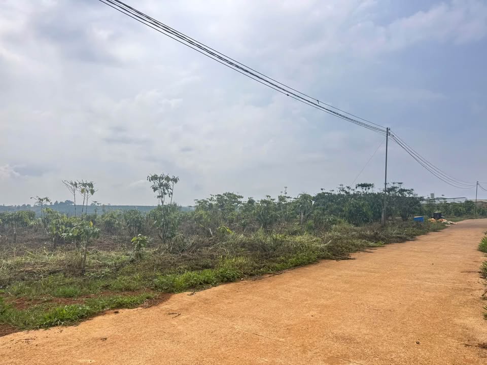 Đất nền 500m² Bảo Lộc – Hẻm Nguyễn Thái Bình, Tiềm năng tăng giá