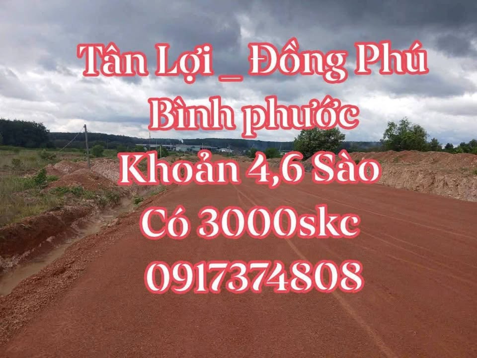 Bán Đất SKC Đồng Phú 3000m² - Sẵn Sàng Xây Dựng Nhà Xưởng