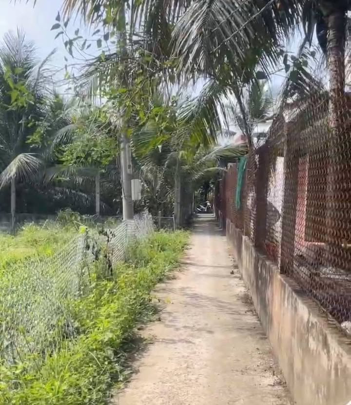 Đất nền Cai Lậy 75m² giá 260 triệu - Sổ đỏ chính chủ!