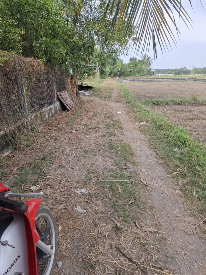 Đất Lộc Khê, Trảng Bàng - 1920m² Đô Thị, Giá 2.75 Tỷ TL