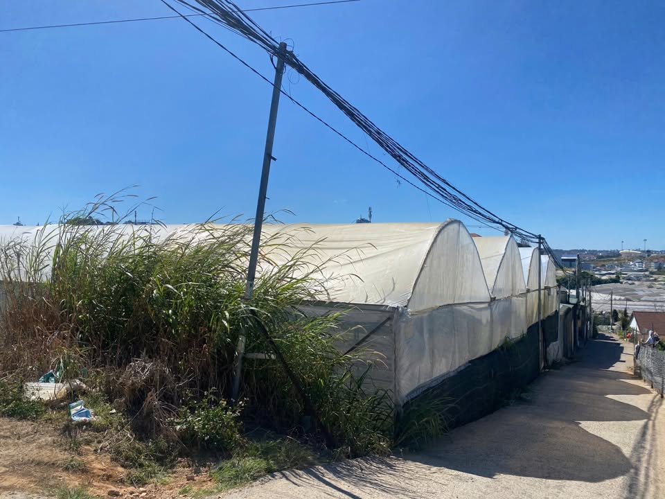 Lô đất Tô Hiệu, Đà Lạt 430m² - Sổ đỏ chính chủ, ô tô vào tận nơi!