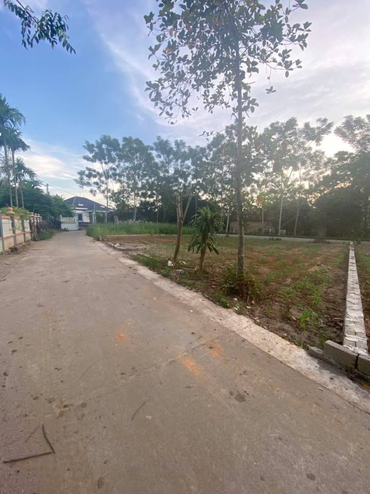 Đất nền Ba Vì 300m² giá 1.x tỷ - Sổ đỏ chính chủ