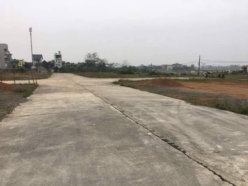 Đất Đấu Giá Thổ Tang Vĩnh Tường 100m² - Sổ Đỏ Sẵn Sàng