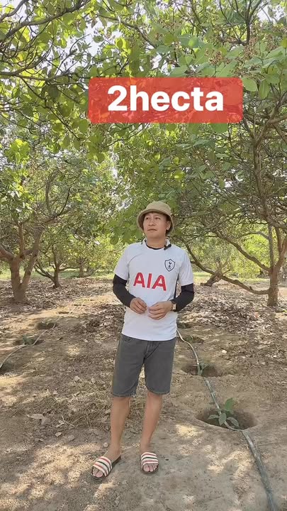 Bán Đất 2ha Mặt Tiền Đường Bê Tông Ea Súp - Đắk Lắk - Giá Đầu Tư