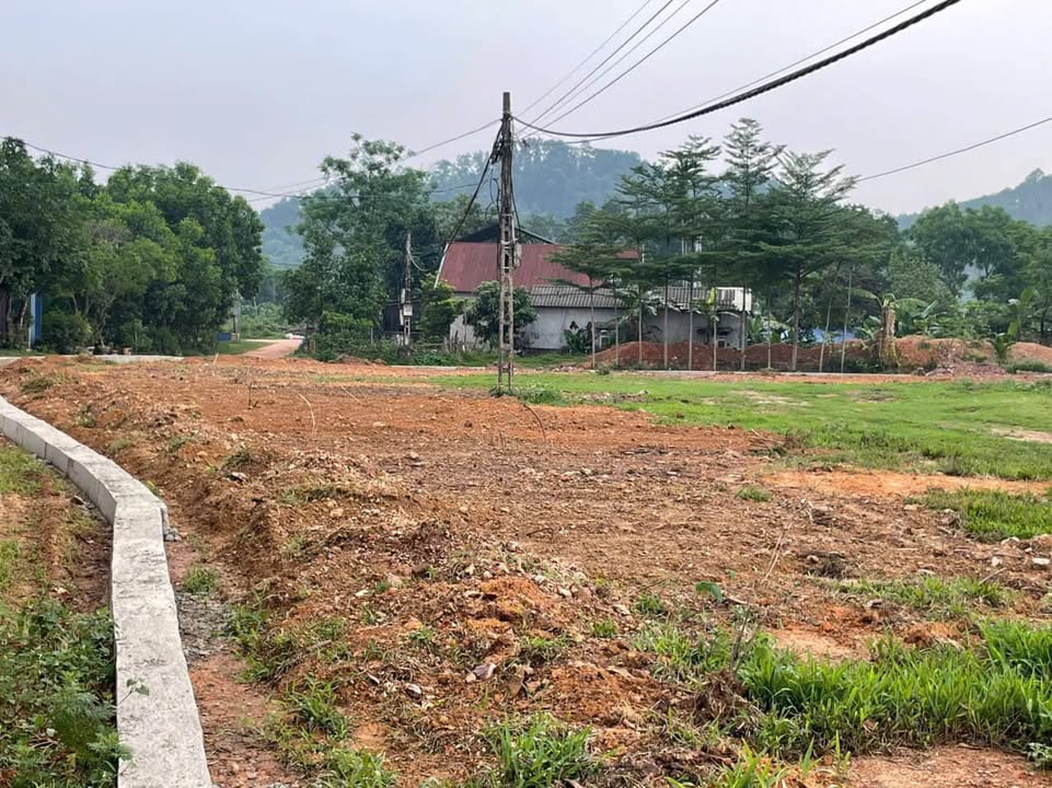 Đất nền Đô Lương Sóc Sơn 3737m² – Tiềm năng tăng giá vượt trội!