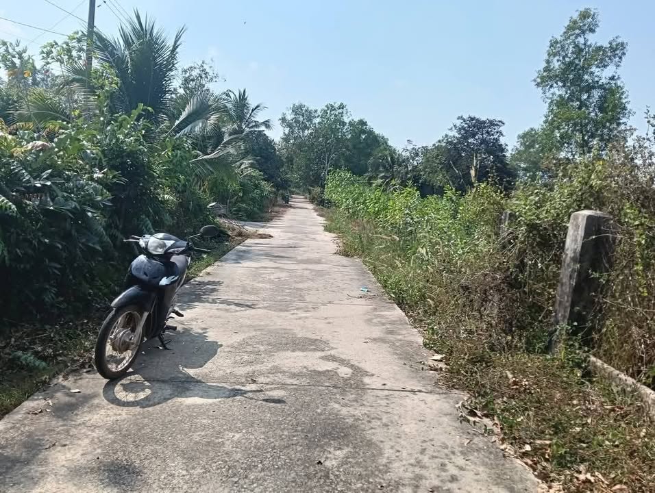 Đất nền Định Hiệp, Dầu Tiếng 1.25 tỷ - Sổ đỏ chính chủ, tiềm năng cao!