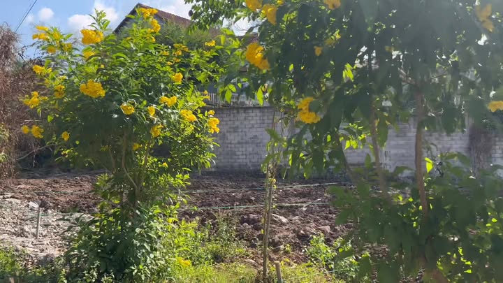 Đất nền Biên Hòa 125m² - Sổ đỏ chính chủ!