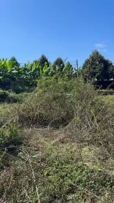 Đất Phú Thịnh Tân Phú 936m² 350tr - Sổ hồng rõ ràng