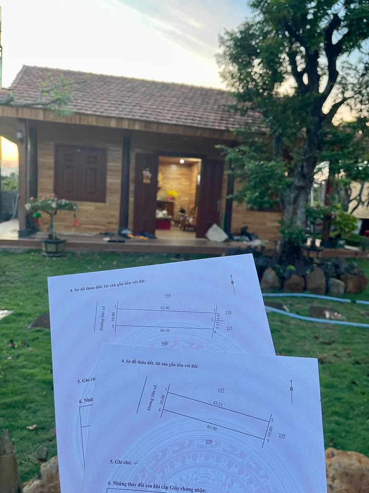 Đất Ia Hrung, Gia Lai 1240m² – Sổ đỏ chính chủ, giá tốt!