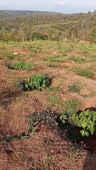 Đất nền Xã Cư Bao, Buôn Hồ 3240m² - Sổ đỏ, gần suối, giá đầu tư