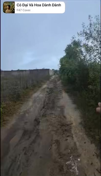 Đất Vườn Gia Lai 1887m² (37x51m) Sổ Đỏ Rõ Ràng