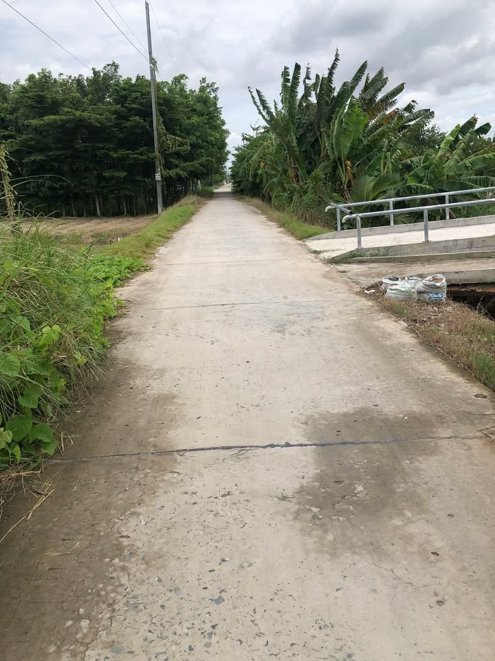 Đất Vườn Đồng Tháp 1700m² - Mặt Tiền Rộng 26m, Giá Đầu Tư 1.87 Tỷ