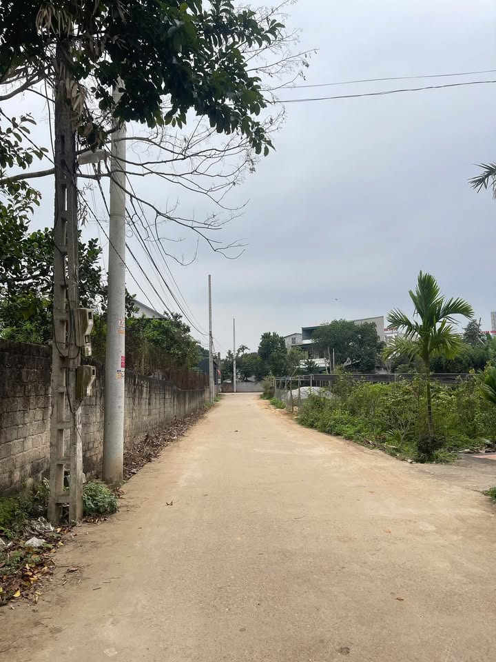 Đất nền Phù Ninh 100m² giá từ 800 triệu - Sổ đỏ chính chủ giá F0!