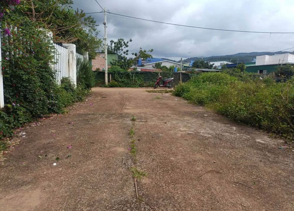 Đất Nông Nghiệp Tà Nung Đà Lạt 437m² - Tách 2 Sổ, Sẵn Sàng Chuyển Đổi Thổ Cư