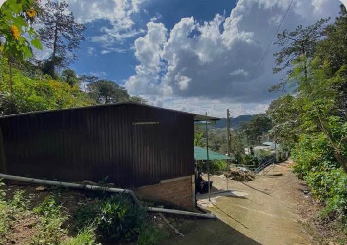 Bán Gấp Nhà 2 Tầng Đường Hoàng Hoa Thám Đà Lạt 20m² - 650 Triệu