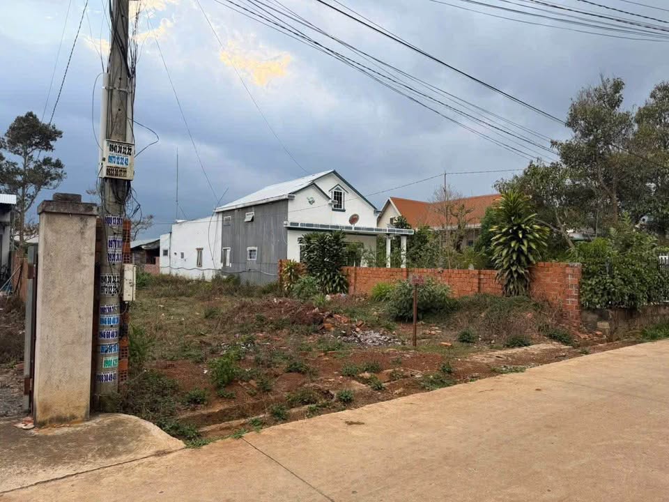 Đất nền Cư xá Liên Hiệp Đà Lạt 1000m² giá 4.2 tỷ - Tiềm năng tăng giá!