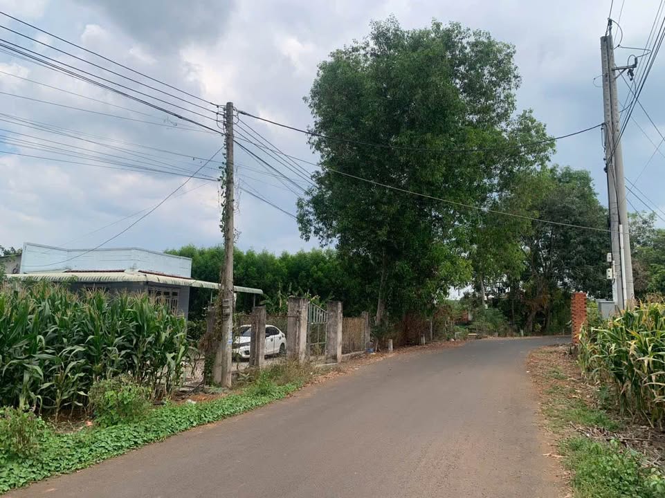 Đất nền Bình Giã, Châu Đức 500m² - Giá đầu tư tốt!