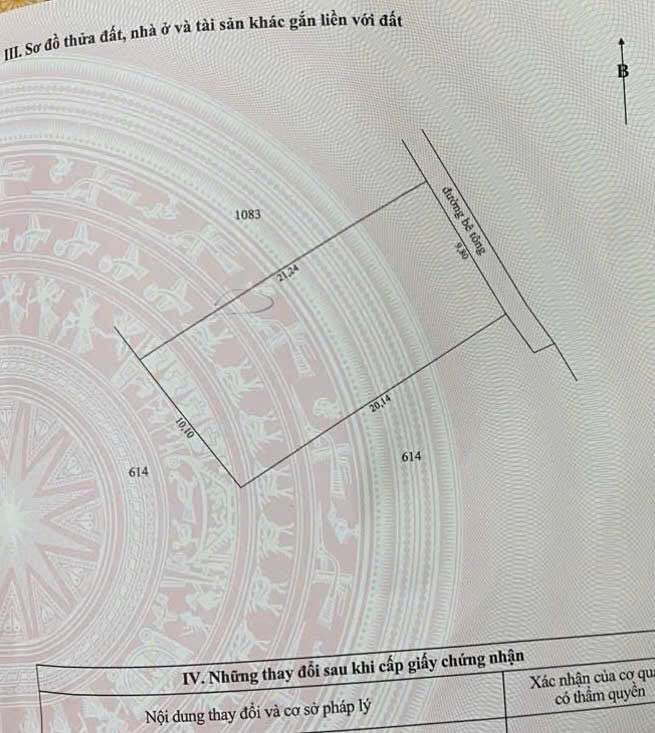 Đất Gò Công 200m² (10x20m) - Sổ Đỏ Chính Chủ, Chia Lô Tốt
