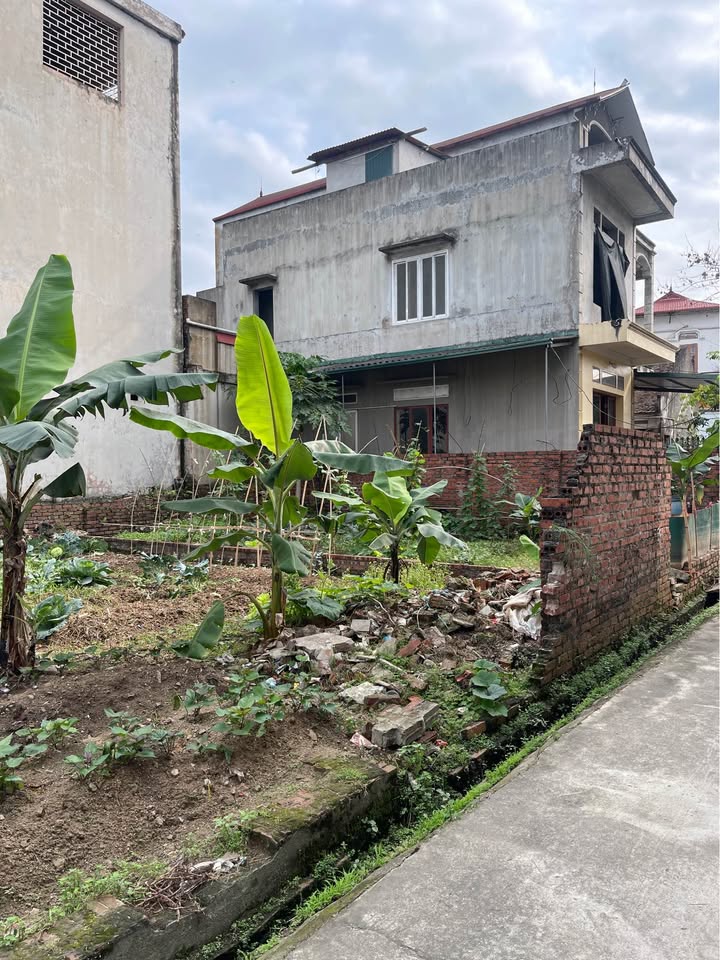 Đất Nền Dư Xá Thuận Thành 70m² - Sổ Đỏ Full Thổ Cư, Giá Tốt Đầu Tư