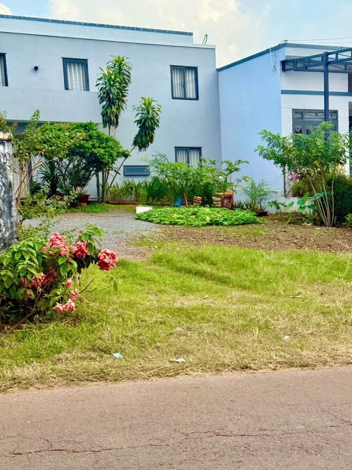 Đất nền Xuân Thọ, Xuân Lộc 243m² Sổ đỏ chính chủ