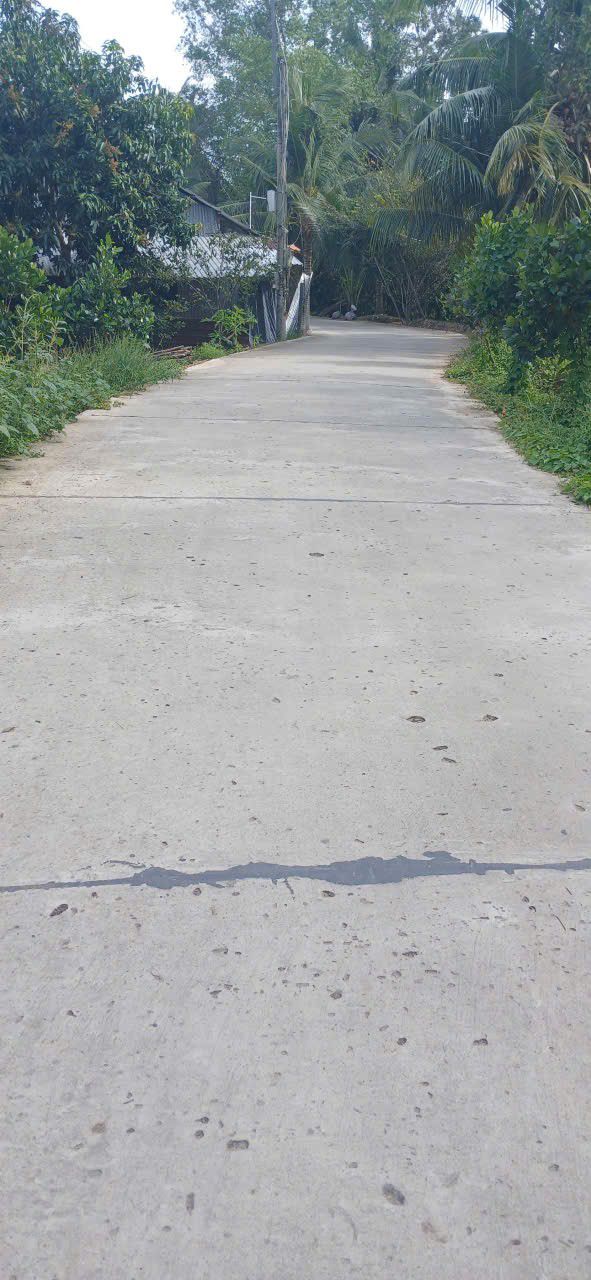 Đất Nền Lai Vung, Đồng Tháp 1060m² - Sổ Sẵn, Đường Ô Tô