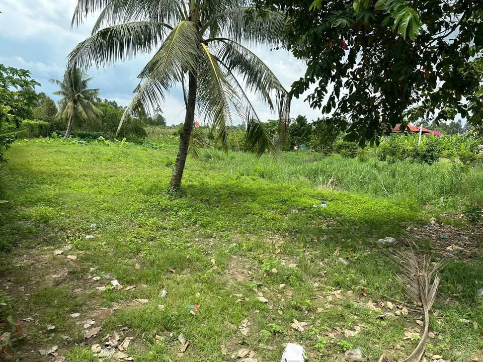 Đất mặt tiền TL943 Thoại Sơn 783m² giá 5.x tỷ - Vị trí kinh doanh đắc địa