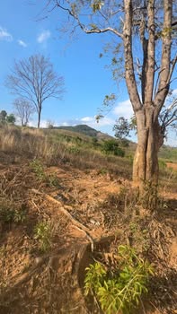 Bán 15.000m² Đất Vườn Đắk Ruồng, Kon Tum - Sổ Đỏ Sẵn Sàng