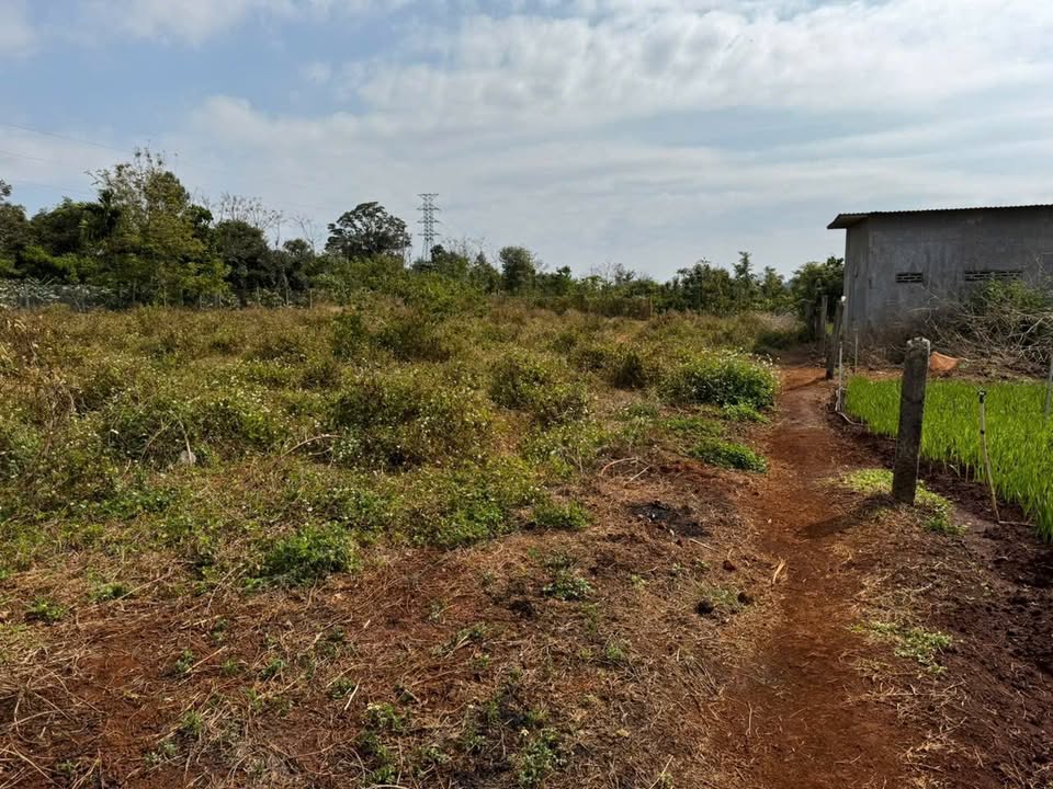 Đất nền Cư Suê, Cư M'gar 3700m² – Tiềm năng tăng giá vượt trội!