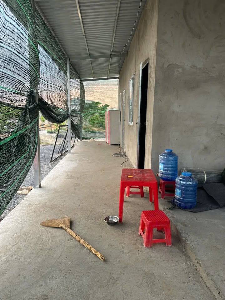 Nhà Vườn 1000m² Củ Chi - Giá 3 Tỷ, Sẵn Sàng An Cư