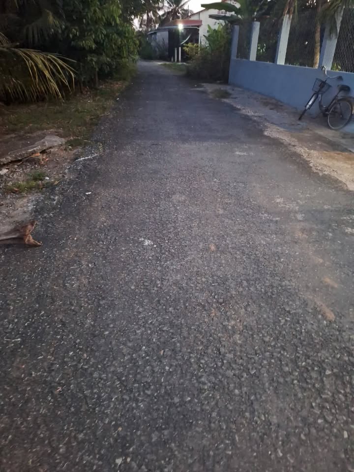 Bán đất ruộng Mỹ Nhơn, Ba Tri - 2000m² giá 400 triệu, tiềm năng thổ cư