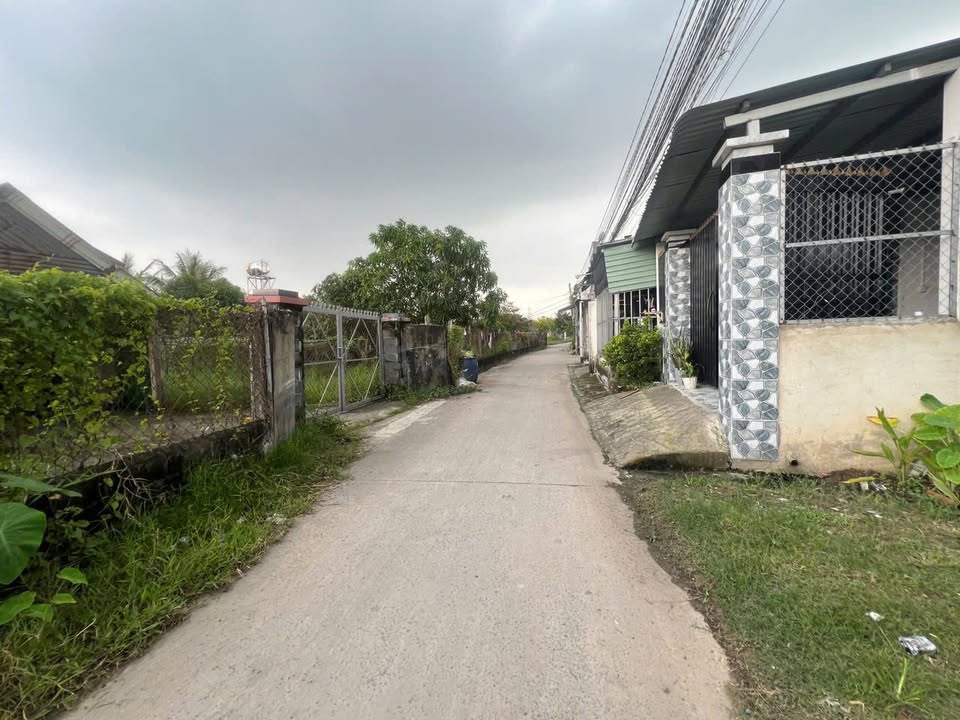 Bán Đất Mỹ Hạnh Nam, Đức Hòa 276m² - Sổ Hồng Riêng, Giá 2.7 Tỷ