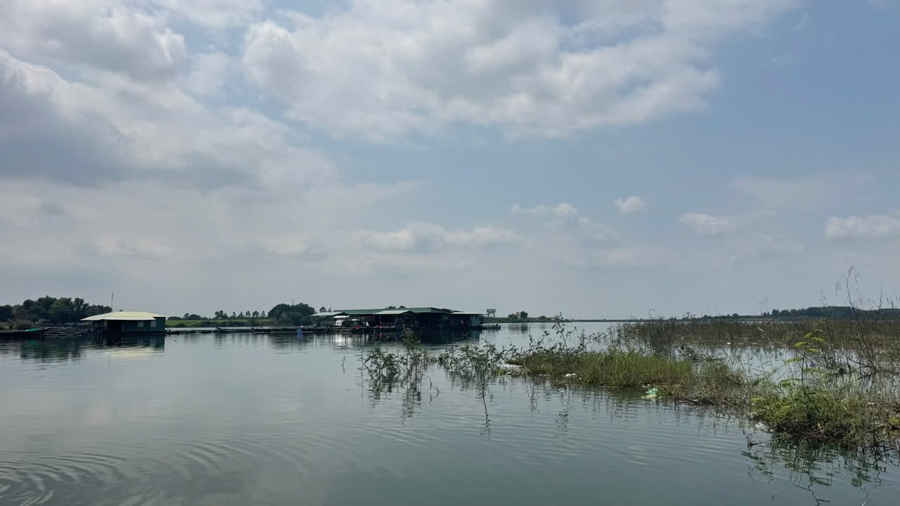 Đất vườn Vĩnh Tân 547m² giá 680 triệu - Tiềm năng tăng giá vượt trội!