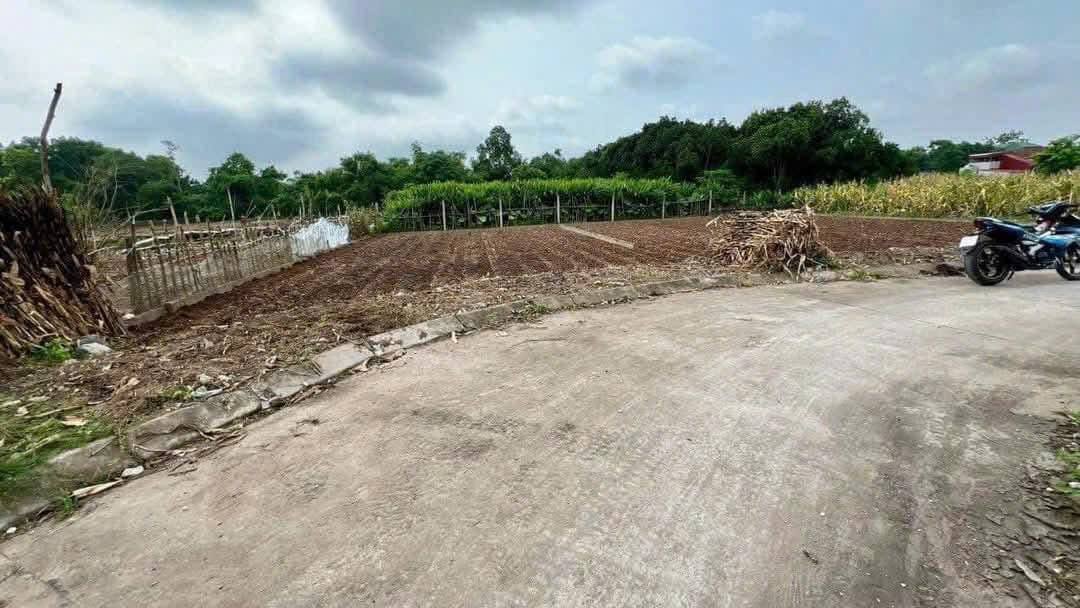 Đất đấu giá Yên Nam - Duy Tiên 122m² - Sổ đỏ sẵn sàng giao dịch