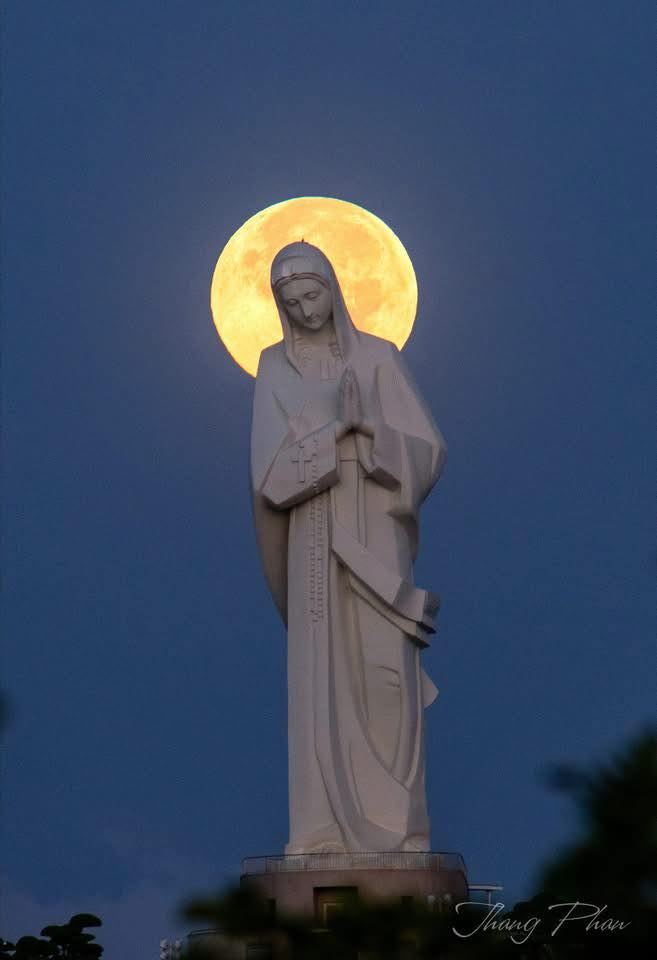 Đất nền Thị trấn Võ Xu 430m² 36.55 tỷ - Hạ tầng hoàn thiện