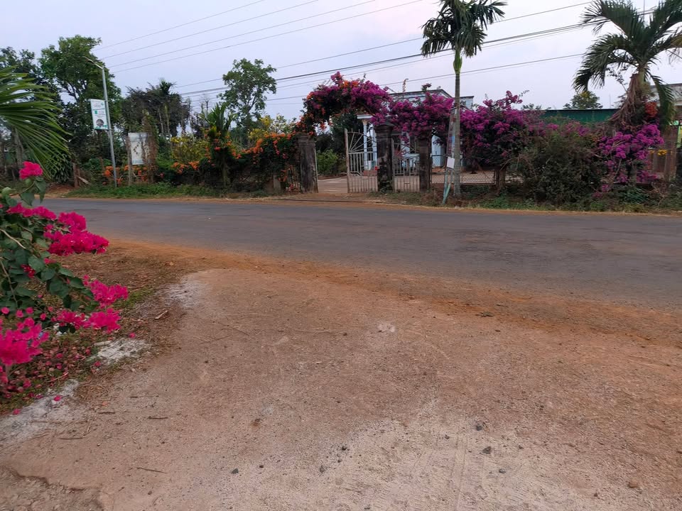 Nhà Mặt Tiền Trục Chính Đắk Nông - 3000m² Đất Nở Hậu 30m Mặt Hồ - Giá 2.8 Tỷ