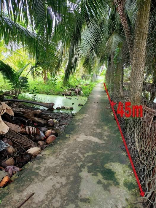 Đất nền Tân An 1000m² giá 690 triệu - Tiềm năng tăng giá!