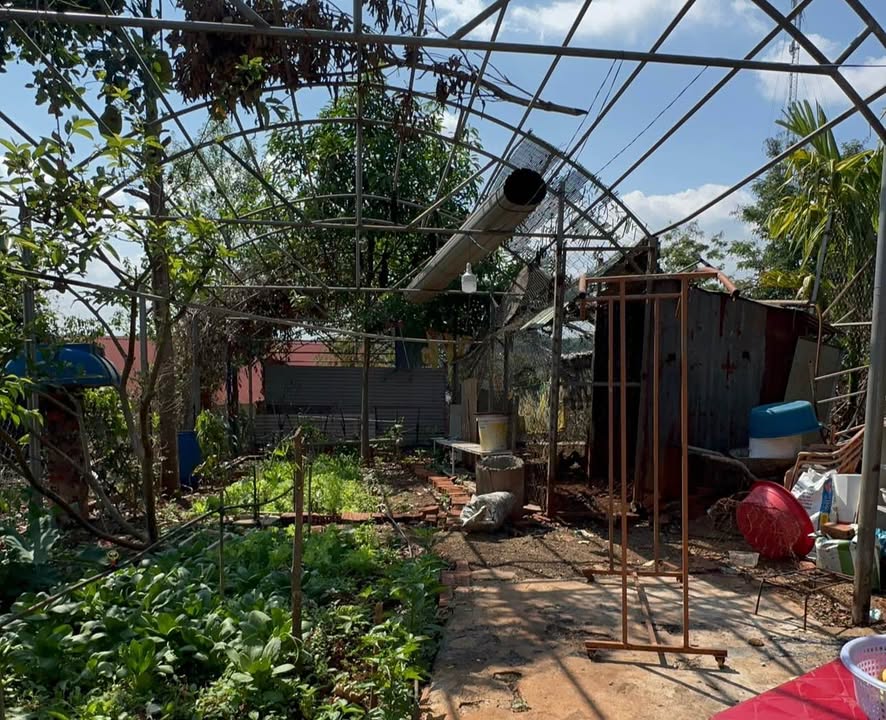 Nhà riêng Nghĩa Phú, Gia Nghĩa 480m² chỉ 1.3 tỷ - Sổ hồng sẵn!