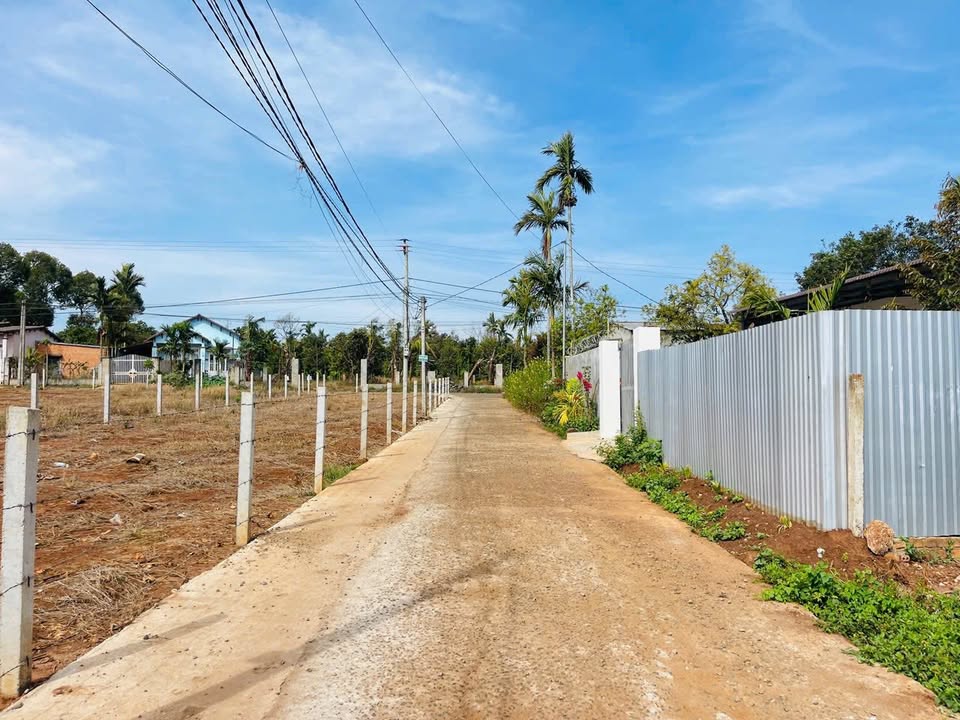 Đất nền Buôn Ma Thuột 1000m² - Sổ đỏ chính chủ, giá 2.29 tỷ