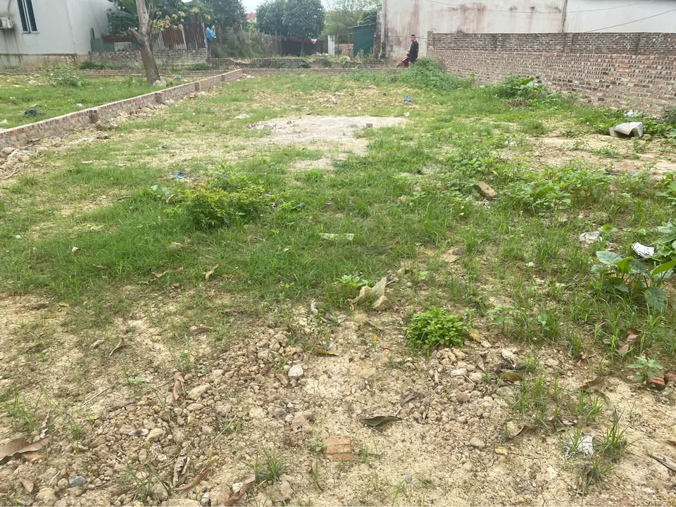 Đất nền Bắc Phú Sóc Sơn 82m² - Sổ hồng chính chủ