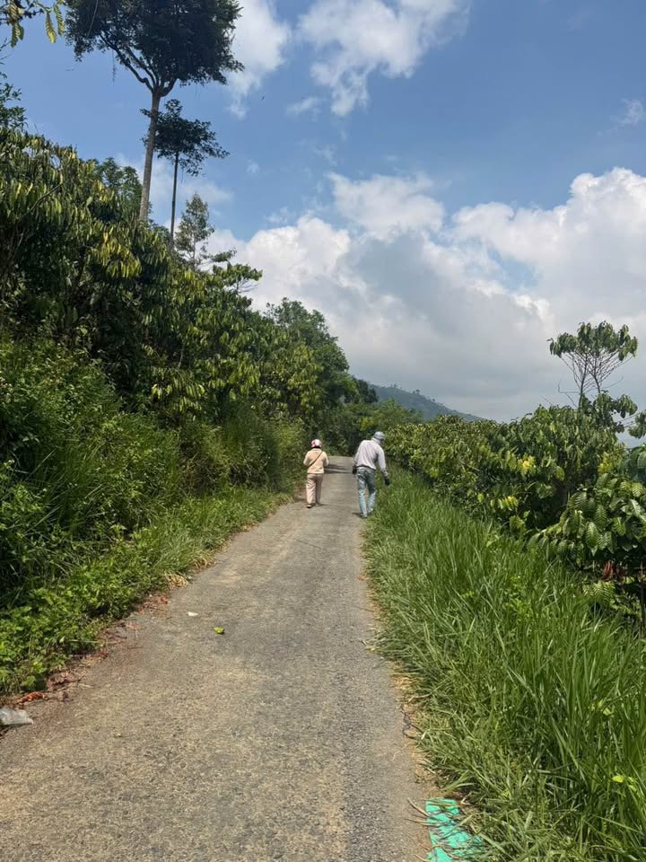 Đất Vườn 1.3ha Lộc Nam, Bảo Lâm - Sổ Đỏ, Giá Đầu Tư 5.46 Tỷ