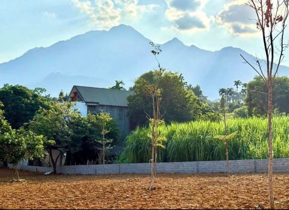 Đất Vàng Ba Vì - 1779m² View Hồ, Núi - Sổ Đỏ Riêng - Giá Tốt