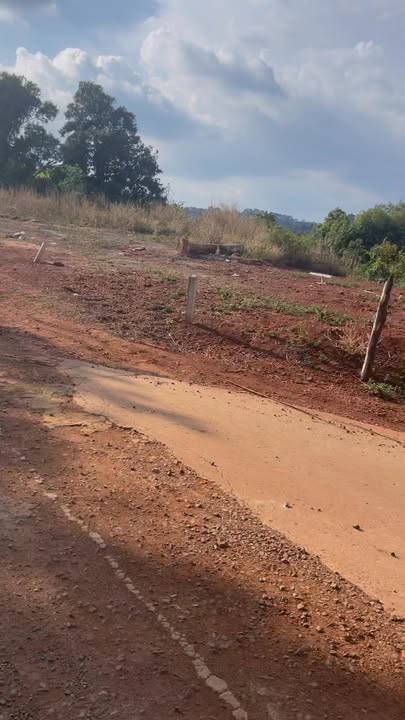 Bán 18.000m² Đất Vườn Xuân Trường, Đà Lạt - Sẵn Vườn Tiêu, Cà Phê