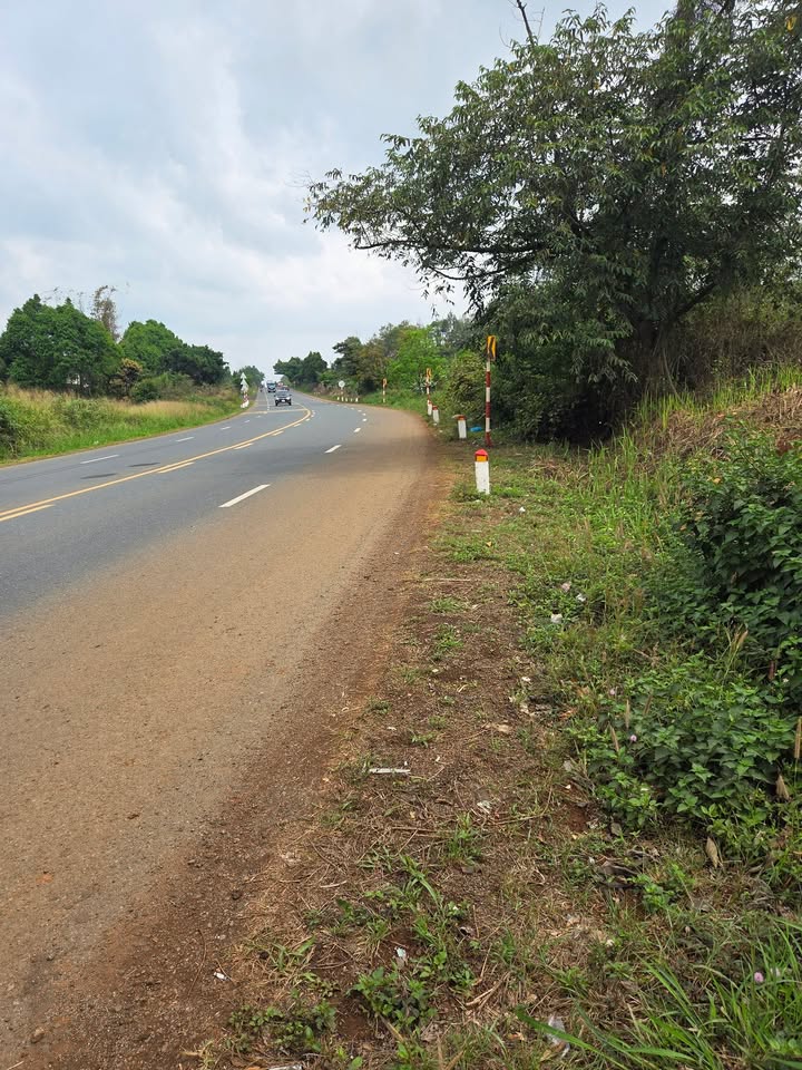 Đất Mặt Tiền QL14 Đồng Xoài 700m² - Giá 1.55 Tỷ, Sẵn Sổ Hồng